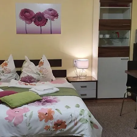 Guest house Rudolf Vendeghaz
