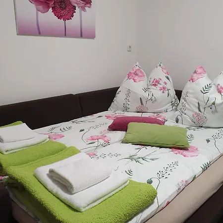 Guest house Rudolf Vendeghaz *